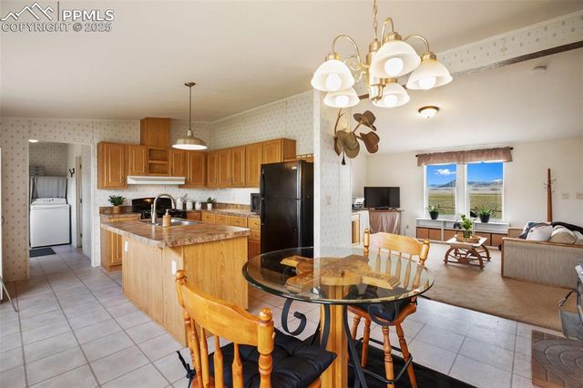 463 Snowshoe Lane, Lake George, CO 80827