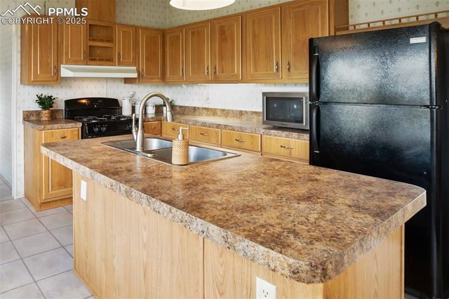 463 Snowshoe Lane, Lake George, CO 80827