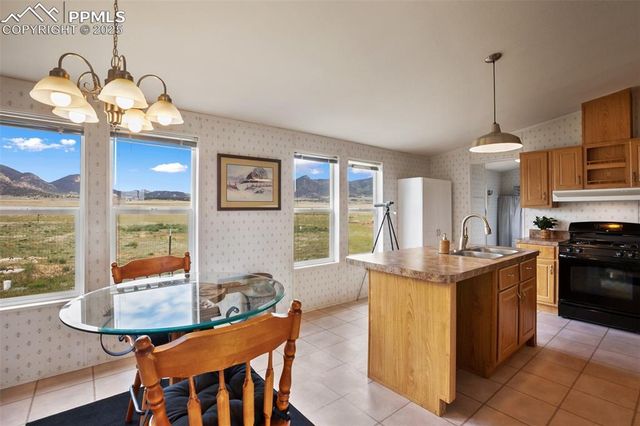 463 Snowshoe Lane, Lake George, CO 80827