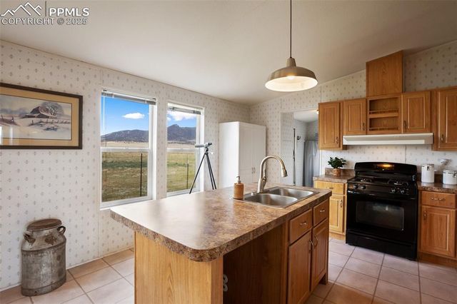 463 Snowshoe Lane, Lake George, CO 80827