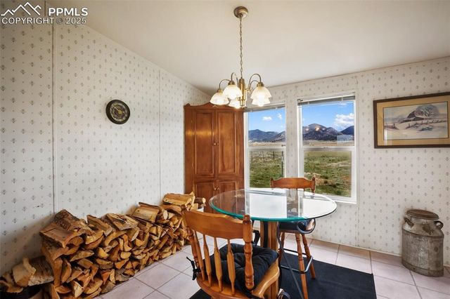 463 Snowshoe Lane, Lake George, CO 80827