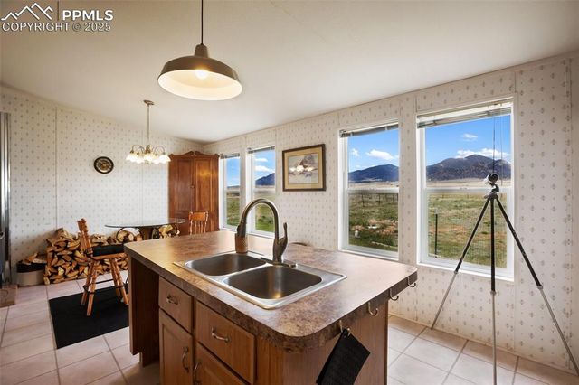 463 Snowshoe Lane, Lake George, CO 80827