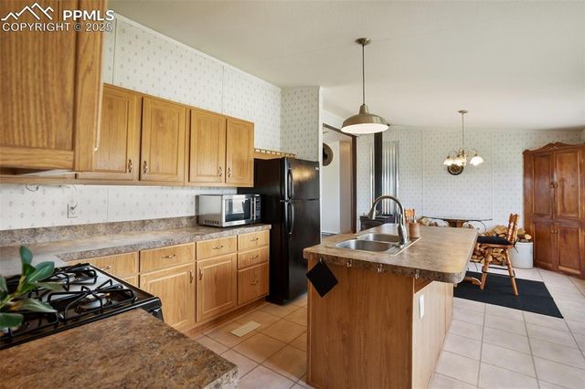 463 Snowshoe Lane, Lake George, CO 80827