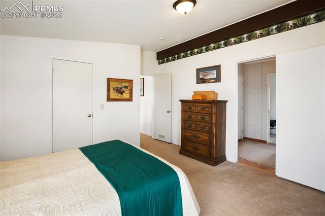 463 Snowshoe Lane, Lake George, CO 80827