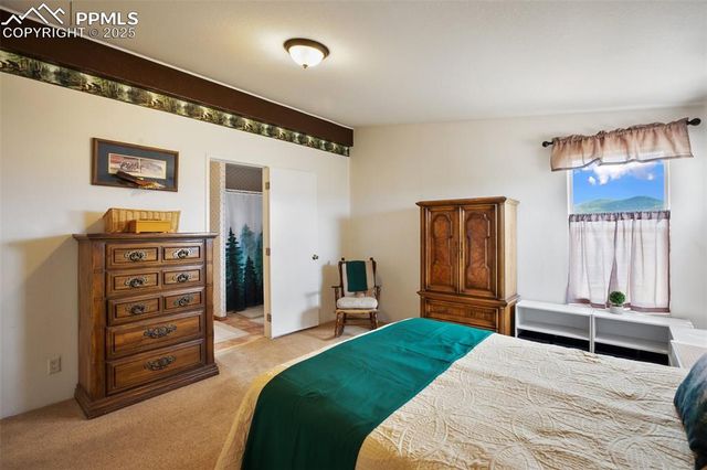 463 Snowshoe Lane, Lake George, CO 80827