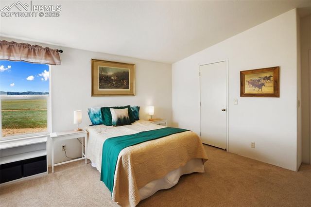 463 Snowshoe Lane, Lake George, CO 80827