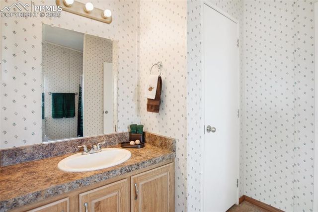 463 Snowshoe Lane, Lake George, CO 80827