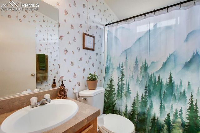 463 Snowshoe Lane, Lake George, CO 80827