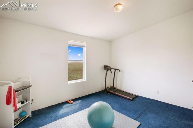 463 Snowshoe Lane, Lake George, CO 80827