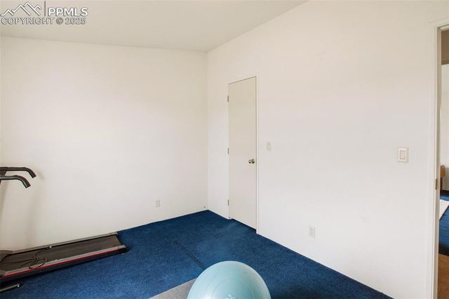 463 Snowshoe Lane, Lake George, CO 80827