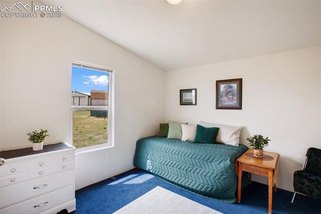 463 Snowshoe Lane, Lake George, CO 80827