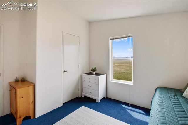 463 Snowshoe Lane, Lake George, CO 80827