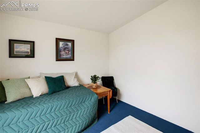 463 Snowshoe Lane, Lake George, CO 80827