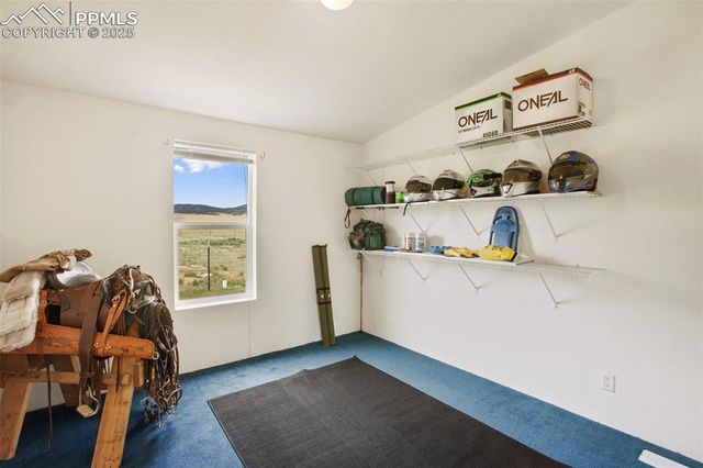 463 Snowshoe Lane, Lake George, CO 80827