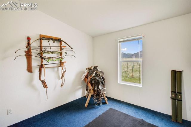 463 Snowshoe Lane, Lake George, CO 80827