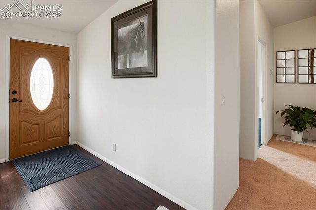 463 Snowshoe Lane, Lake George, CO 80827