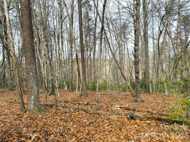 Lots 4-7 Carmel Ridge, Rutherfordton, NC 28139