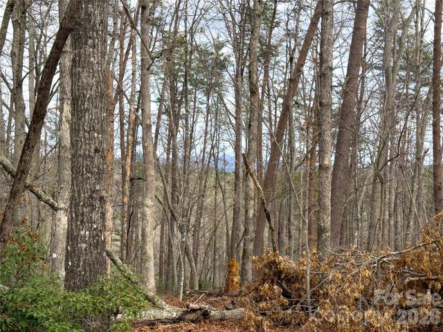 Lots 4-7 Carmel Ridge, Rutherfordton, NC 28139