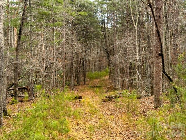 Lots 4-7 Carmel Ridge, Rutherfordton, NC 28139