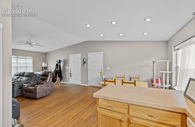 738 Trout Creek Drive, Fairplay, CO 80440