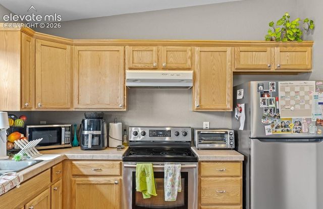 738 Trout Creek Drive, Fairplay, CO 80440