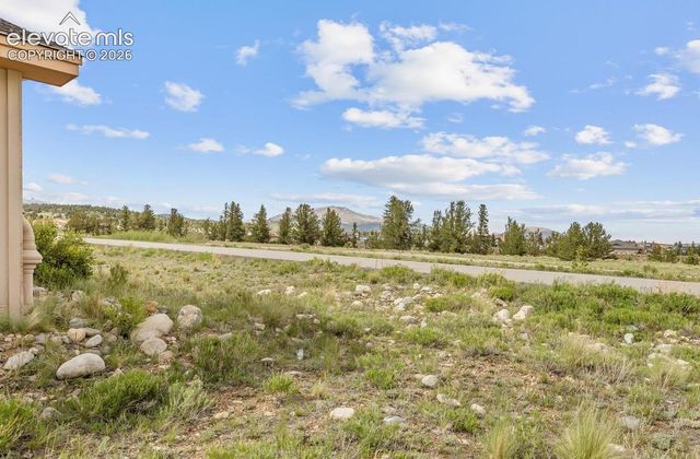 738 Trout Creek Drive, Fairplay, CO 80440