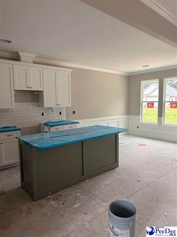 2325 W Billy Farrow Hwy, Hartsville, SC 29550