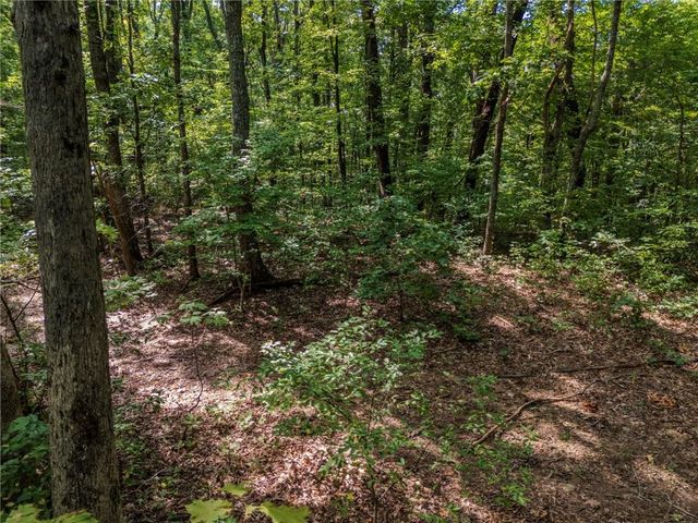 0 Clearview Drive, Jasper, GA 30143
