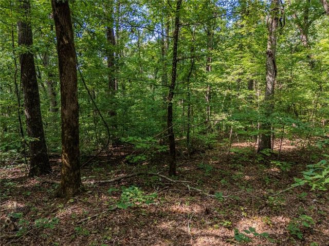 0 Clearview Drive, Jasper, GA 30143