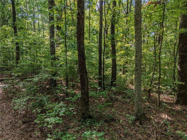 0 Clearview Drive, Jasper, GA 30143