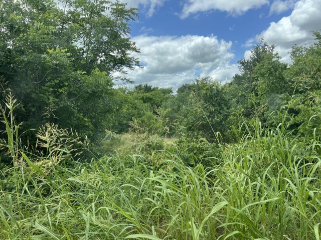 CR 4365, Milford, TX 76670