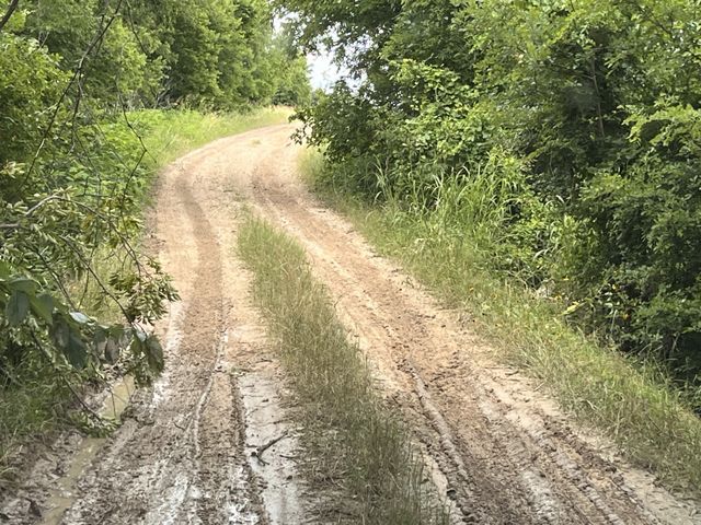 CR 4365, Milford, TX 76670