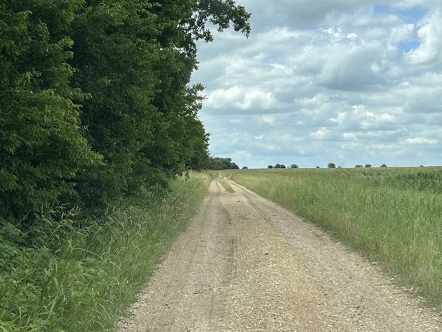 CR 4365, Milford, TX 76670