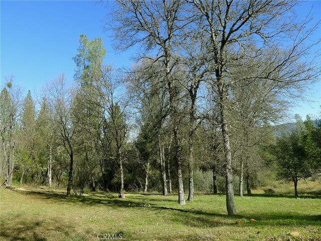 13376 Rue Montaigne, Oregon House, CA 95962