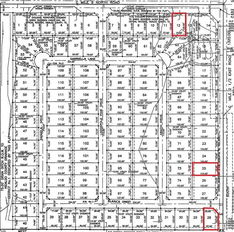 1523 Blanca Street, Mercedes, TX 78570