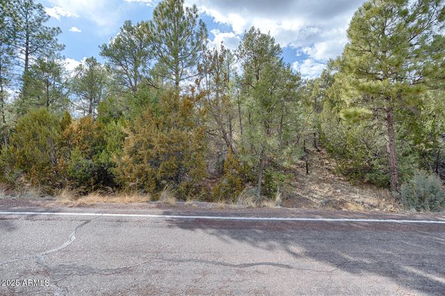3360 N STONE BRIDGE Trail 3, Heber, AZ 85928