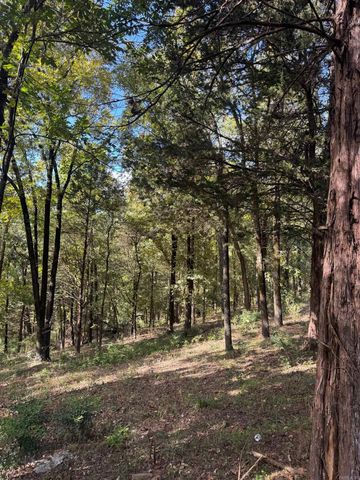 546 County Road 3361, Clarksville, AR 72830