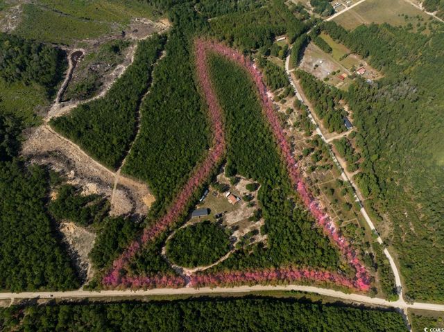 1087 MW Stroud Rd., Nichols, SC 29581