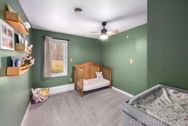 11769 Old Belding Road Ne, Grattan Twp, MI 48809