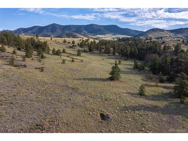 0 Big Buck Road, Guffey, CO 80820