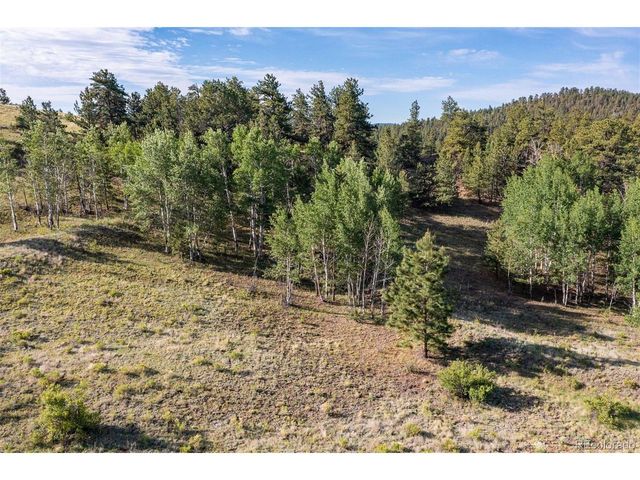 0 Big Buck Road, Guffey, CO 80820