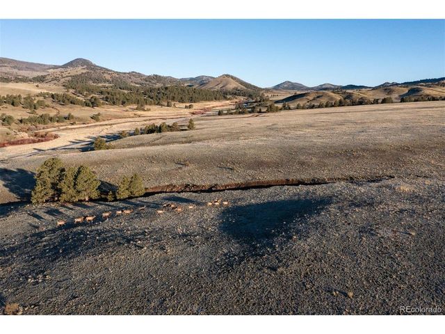 0 Big Buck Road, Guffey, CO 80820