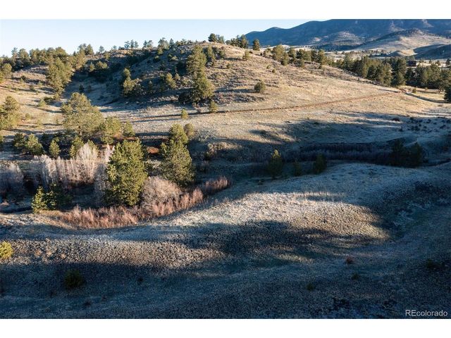 0 Big Buck Road, Guffey, CO 80820