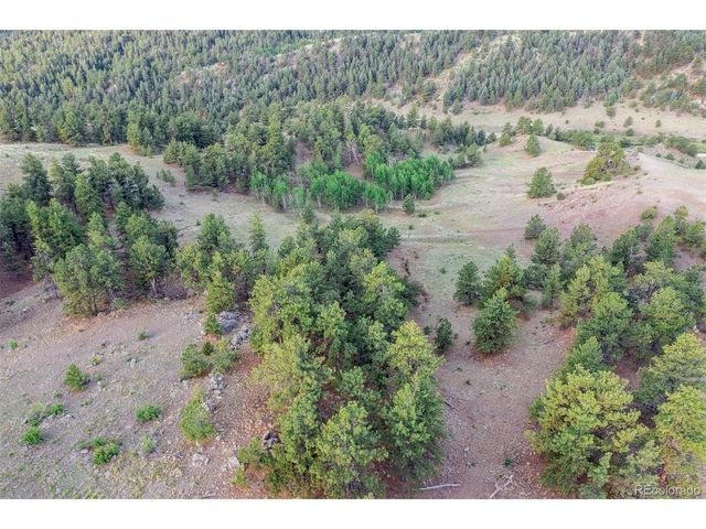 0 Big Buck Road, Guffey, CO 80820