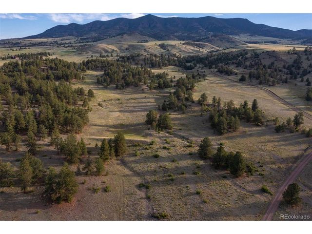 0 Big Buck Road, Guffey, CO 80820