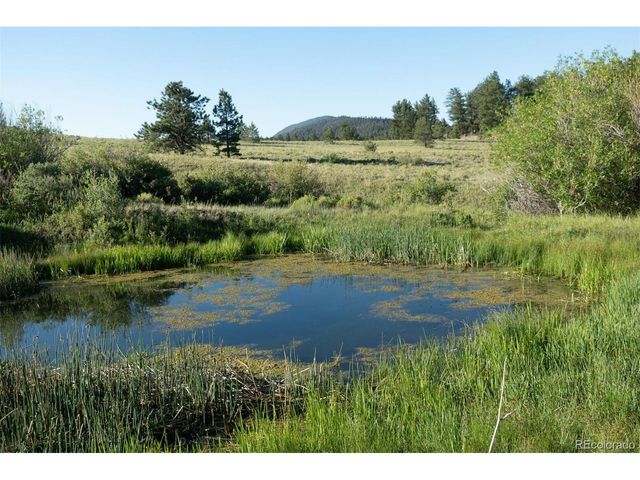 0 Big Buck Road, Guffey, CO 80820