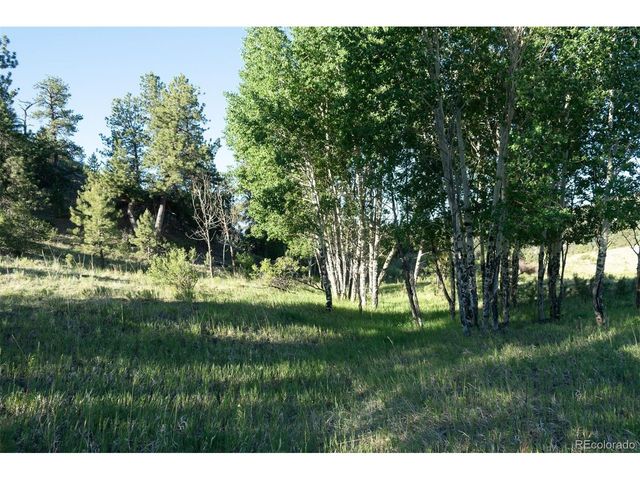 0 Big Buck Road, Guffey, CO 80820
