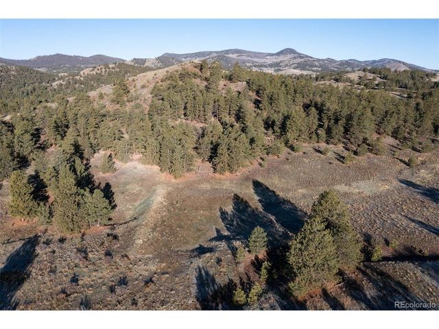 0 Big Buck Road, Guffey, CO 80820