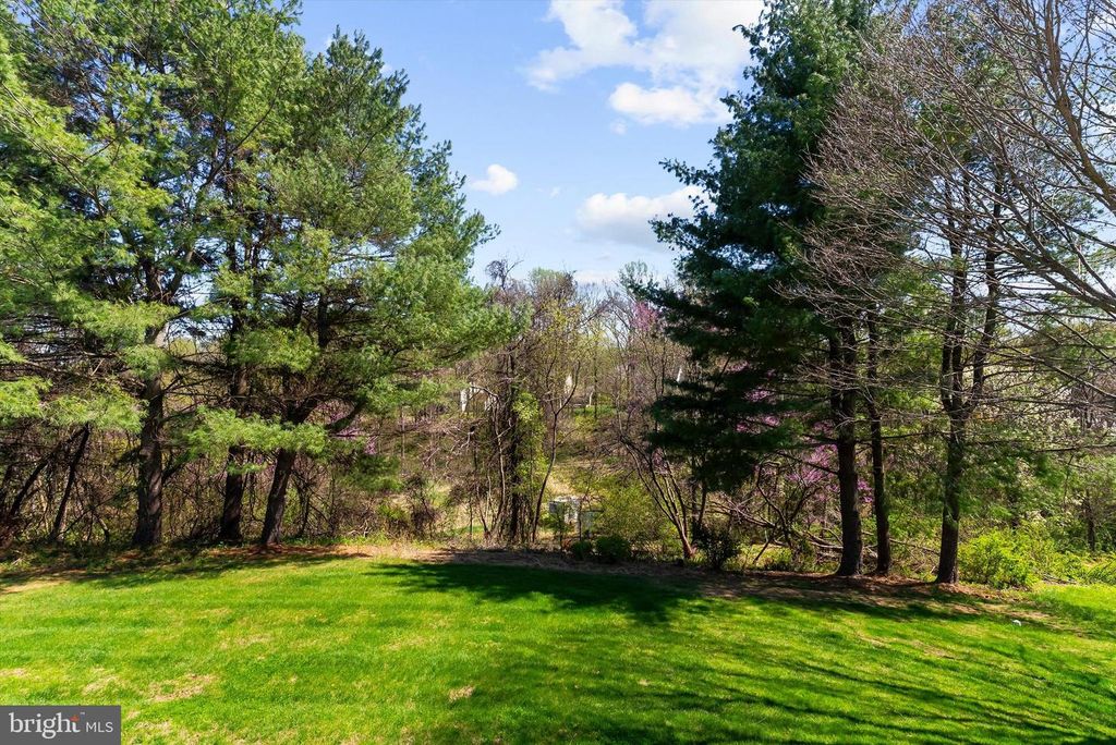 Image 54 of property listing at 2904 EXCELSIOR SPRINGS CT, Ellicott City, MD 21042