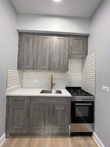 4427 N Seeley Avenue 105, Chicago, IL 60625